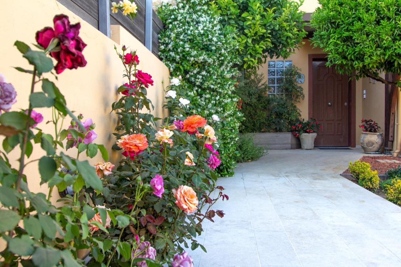 Villa Lida Garden Loft Anavyssos Exterior foto